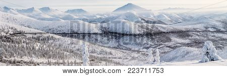 beautiful snow covered winter road and trees in snow capped mountains, kolyma highway, russian federation