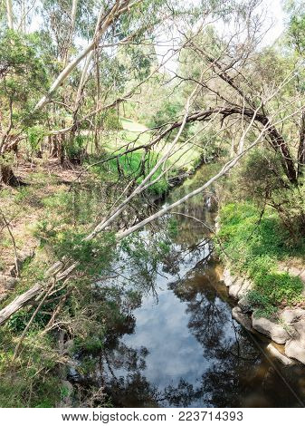 Gardiners Creek park in Burwood in suburban Melbourne, Australia