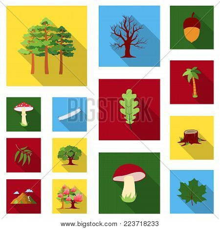 Forest and nature flat icons in set collection for design. Forest life vector symbol stock  illustration.