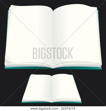 Prázdná kniha pro text nebo designu