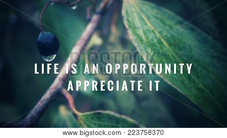 Motivational and inspirational quotes - Life is an opportunity. Appreciate it. With blurred vintage styled background.