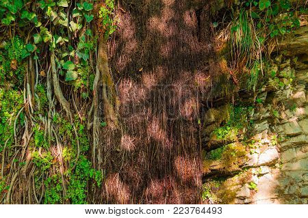 A rocky wall of a mountain with vegetation and glares of sunlight in sunny autumn day