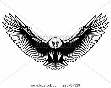Eagle emblem isolated on white illustration. American symbol of freedom and independence. Retro color logo of falcon.