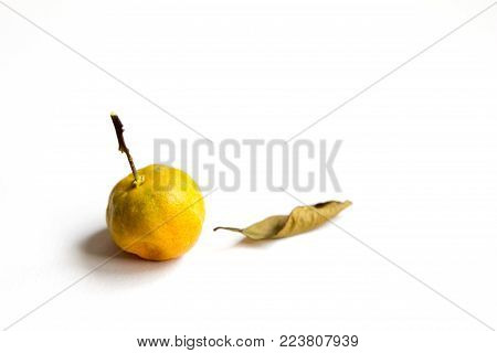 Wizened orange kumquat placed on white background