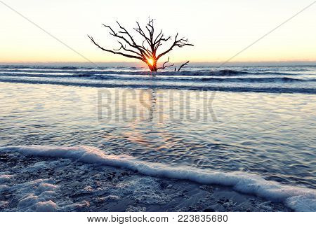 Sunrise at Botany Bay beach, Edisto Island, South Carolina, USA