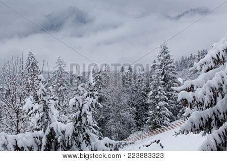 winter at Colibita lake, Romania