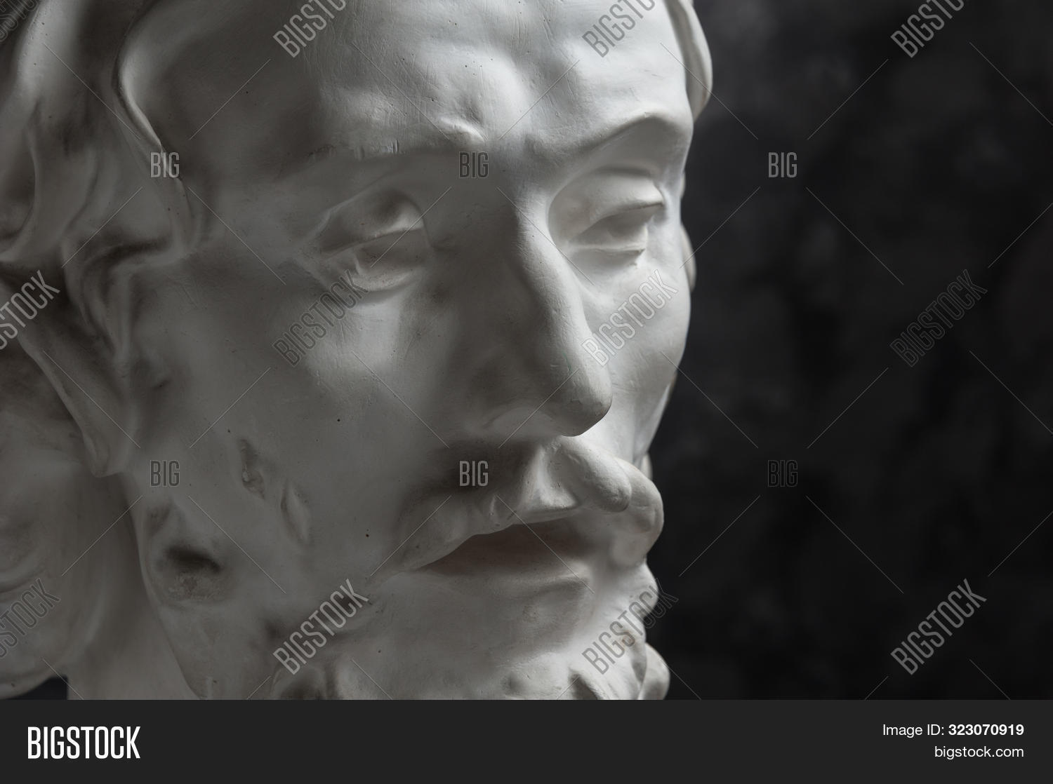 Гипсовая копия 6. Бюст циолковский настольный. Гипсовая голова венеры милосской. Гипсовая копия 6. Гипсовая копия 6.