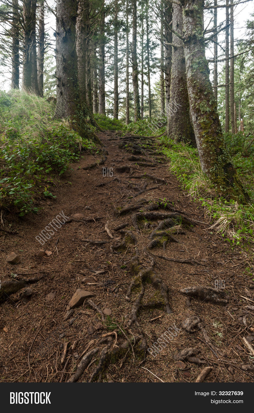 eroded trail