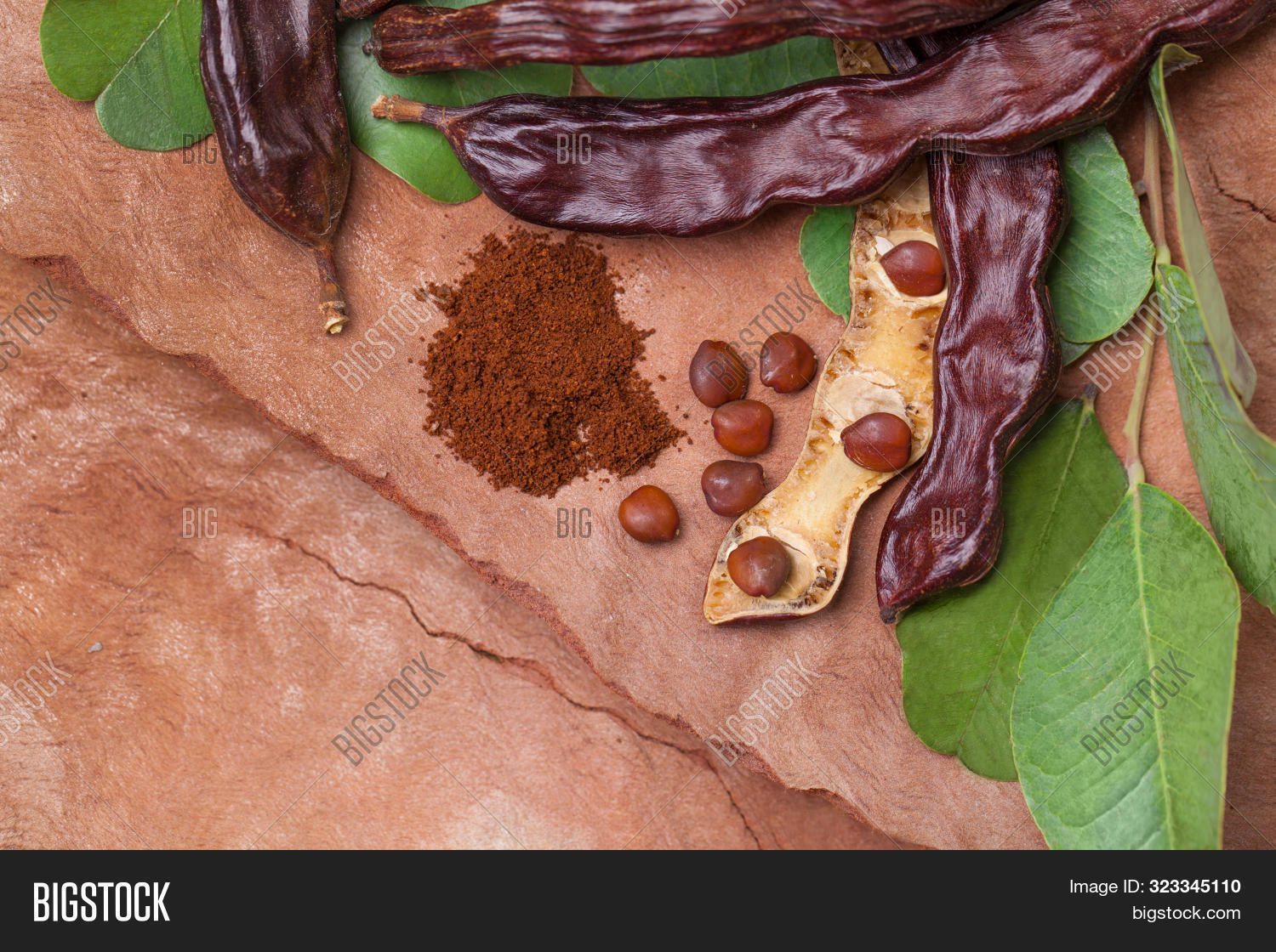 Carob Organic Carob Image Photo Free Trial Bigstock