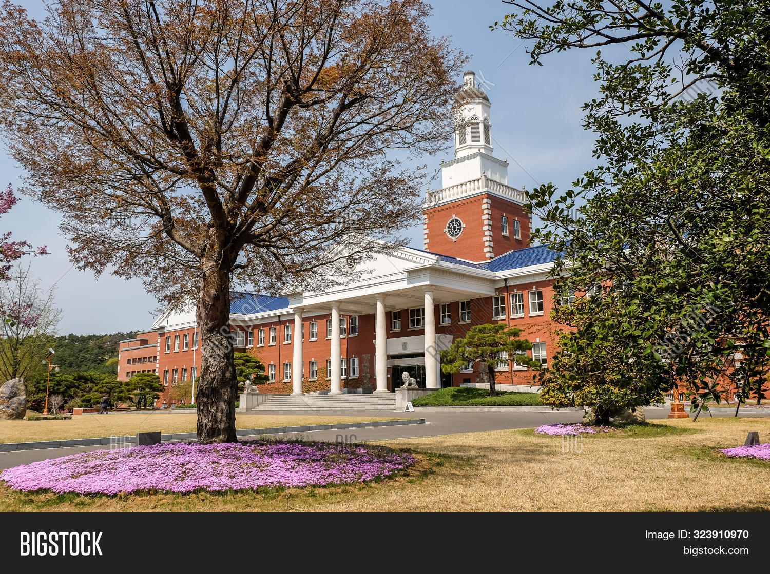 Daegu, South Korea - 6 Image & Photo (Free Trial) | Bigstock