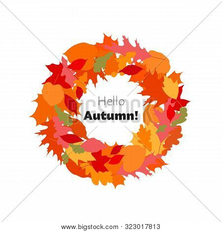 Colorful Autumn Leaves Wreath, Web Template For Sale Campaign, Greeting Card. Isolated On White Back