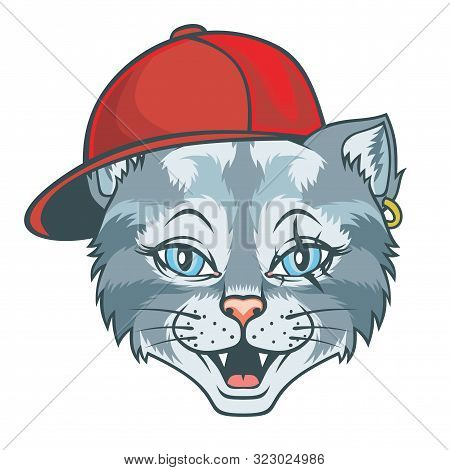 Cat Hip Hop Hat Vector Photo Free Trial Bigstock