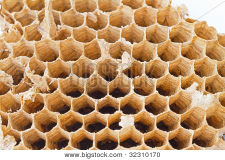 Honeycomb