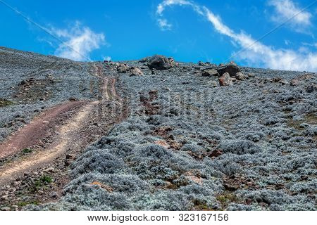 Landscape With Road To Top Of The Ethiopian Bale Mountains National Park. Ethiopia Wilderness Pure N