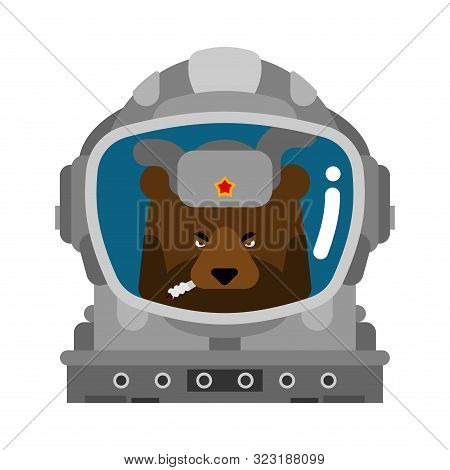 Bear Russian Astronaut. Wild Beast Spaceman In Russia