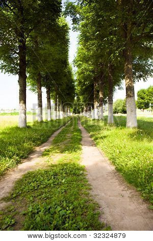 Road