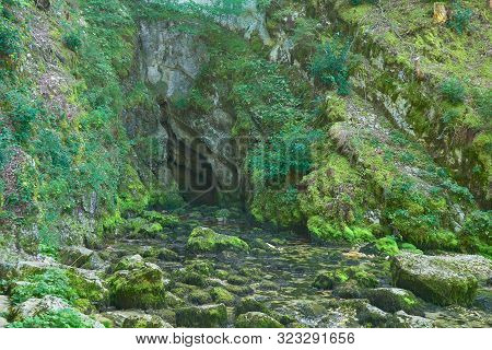 Source Du Doubs Mouthe Franche Comté France With Green Plants On A Sunny Day