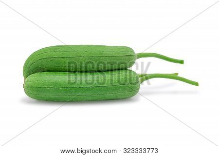 Gourd Vegetable, Luffa Or Sponge Gourd Isolated On White Background With Clipping Path. Selective Fo
