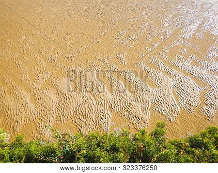 View From Above Of The Shallows On A Beach Where It Meets The Green Shrubs.