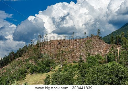 Trees Fallen From The Wind In November 2018, Baselga Di Pine. Natural Disaster In Trentino Alto Adig