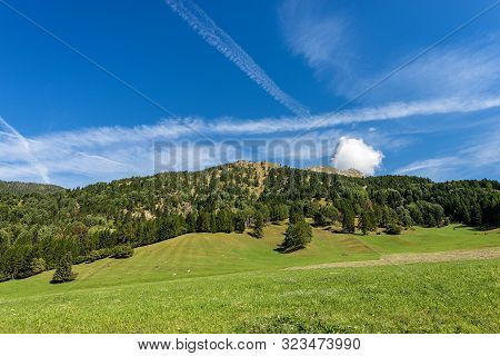 Green Meadows And Woods In Mountain In Summer And Viezzena Peak. Val Di Fiemme, Bellamonte Village, 