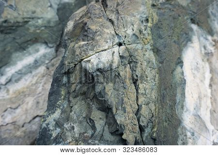 Close Up Of A Sea Rock Texture