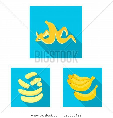 Vector Design Of Natural And Vegetarian Icon. Set Of Natural And Eating Stock Vector Illustration.
