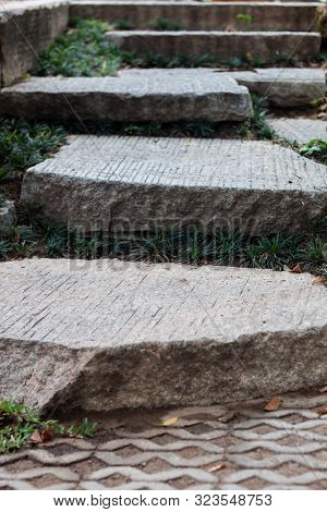 The Step Path In The Garden, Stock Photo