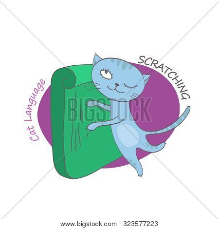 Naughty Cat Scratching Claws. Behavior And Body Language Of Domestic Animal Or Pet. Funny Scene In H