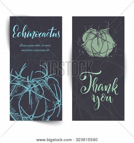 Set Of Banners With Hand Drawn Echinocactus, Sketch Style Vector Illustration Isolated On White Back