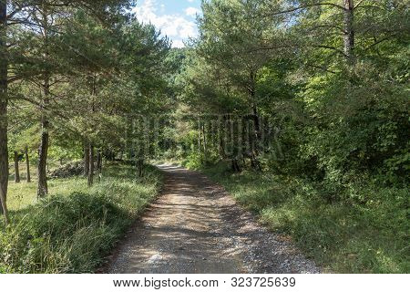 Natural Environment Of The Town Of Ripoll In Girona