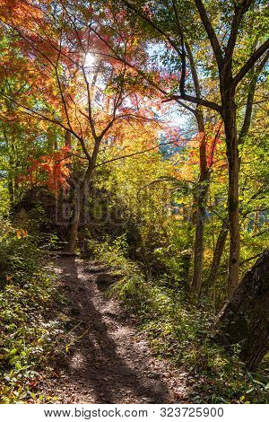 Mitake Shosenkyo Gorge Autumn Foliage Scenery View In Sunny Day. Beauty Landscapes Of Magnificent Fa