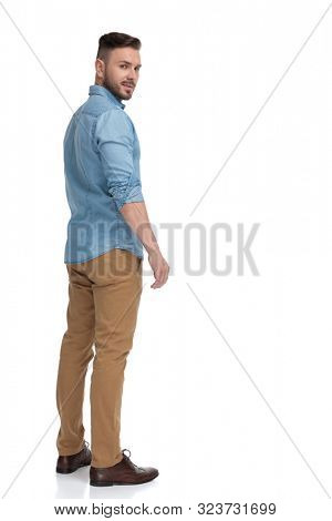 rear view of a sexy casual man with blue shirt standing and looking back over shoulder cool on white studio background