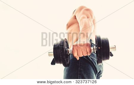 Athletic Body. Dumbbell Gym. Muscular Man Exercising In Morning With Barbell. Fitness And Sport Equi