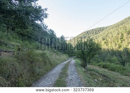 Natural Environment Of The Town Of Ripoll In Girona
