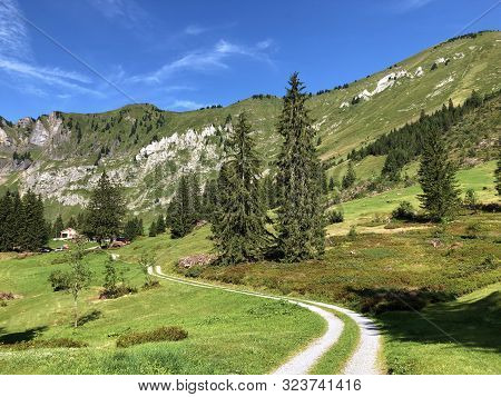 Alpine Pastures And Grasslands In The Oberseetal Alpine Valley, Nafels (näfels Or Naefels) - Canton 