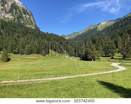 Alpine Pastures And Grasslands In The Oberseetal Alpine Valley, Nafels (näfels Or Naefels) - Canton 