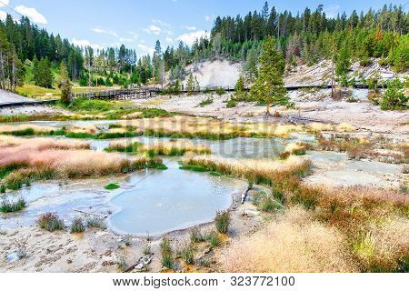 Mud Volcano In Yellowstone National Park Where Pungent Sulphur Smells Hint At The Seething, Muddy Hy
