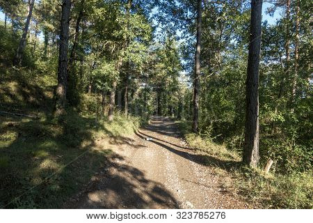 Natural Environment Of The Town Of Ripoll In Girona