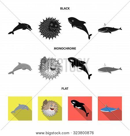 Vector Illustration Of Sea And Animal Sign. Collection Of Sea And Marine Stock Vector Illustration.