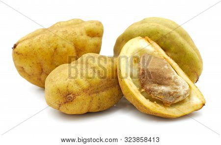 Cynometra Cauliflora Fruit Isolated On White Background