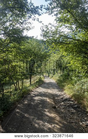 Natural Environment Of The Town Of Ripoll In Girona