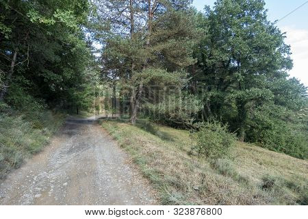 Natural Environment Of The Town Of Ripoll In Girona