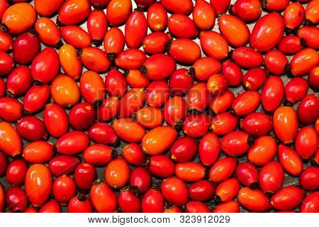 Detail Macro View Of Dog Rose Hips (latin Name Fructus Cynosbati) Prepared For Drying. Dried Rose Hi