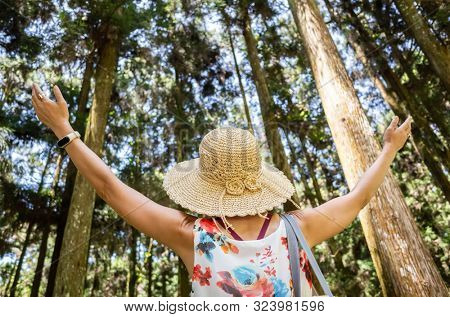 traveling Asian woman hiking in the forest at Xitou, Nantou, Taiwan