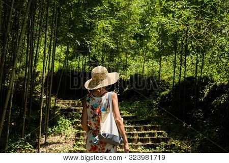 traveling Asian woman hiking in the forest at Xitou, Nantou, Taiwan