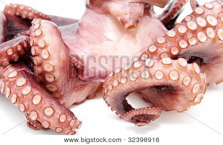 Pulpo