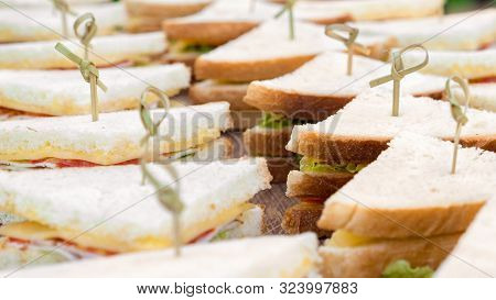 Food Catering Cuisine Culinary Gourmet Buffet. Delicious Seasonal Catering, Meal. Business Lunch, Sn