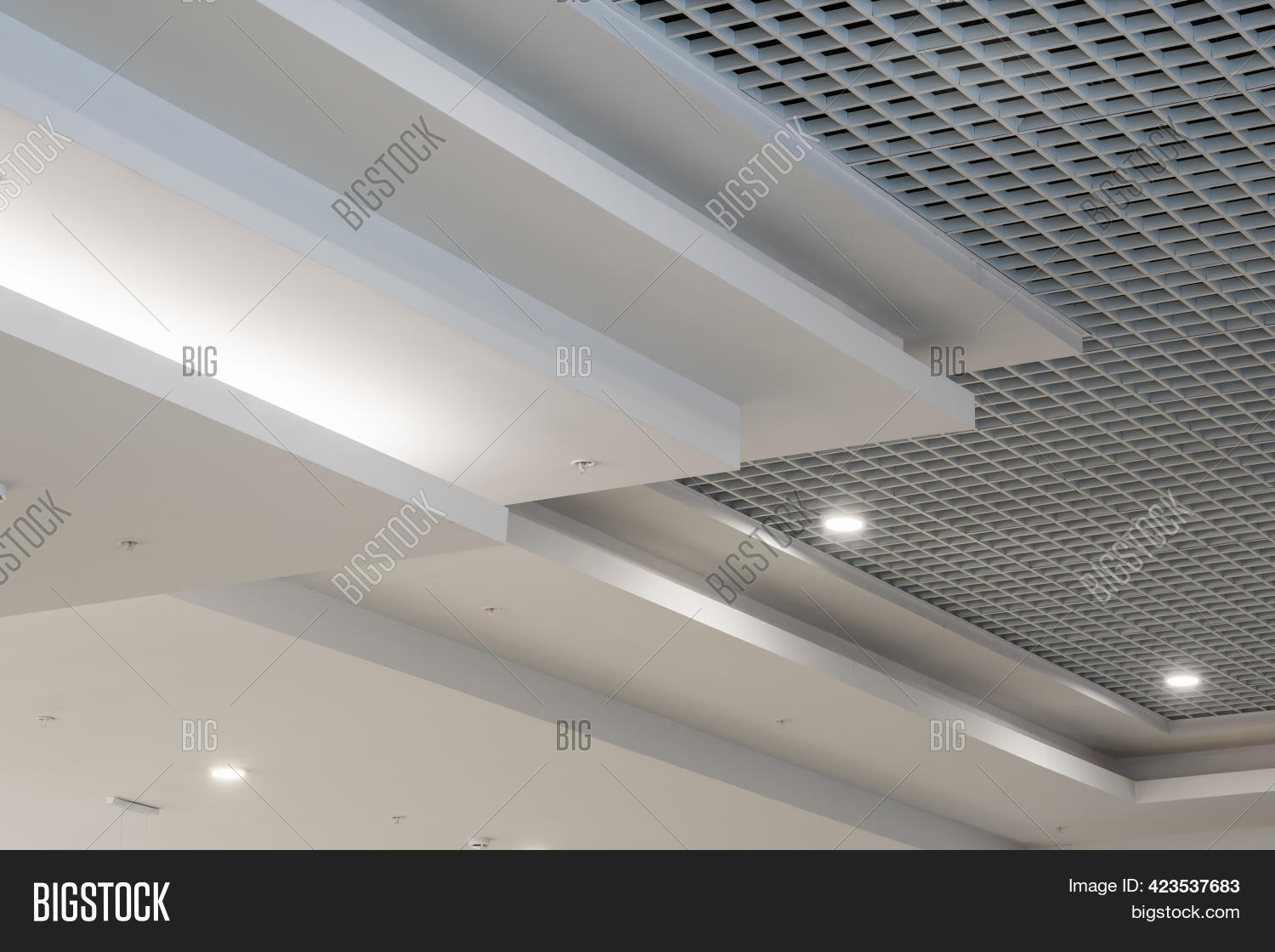 Suspended Grid Ceiling Image & Photo (Free Trial) Bigstock