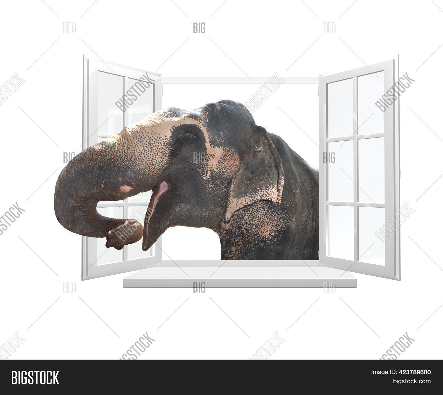 Elephant Looking Image & Photo (Free Trial) Bigstock